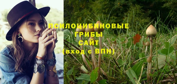 a pvp Абинск
