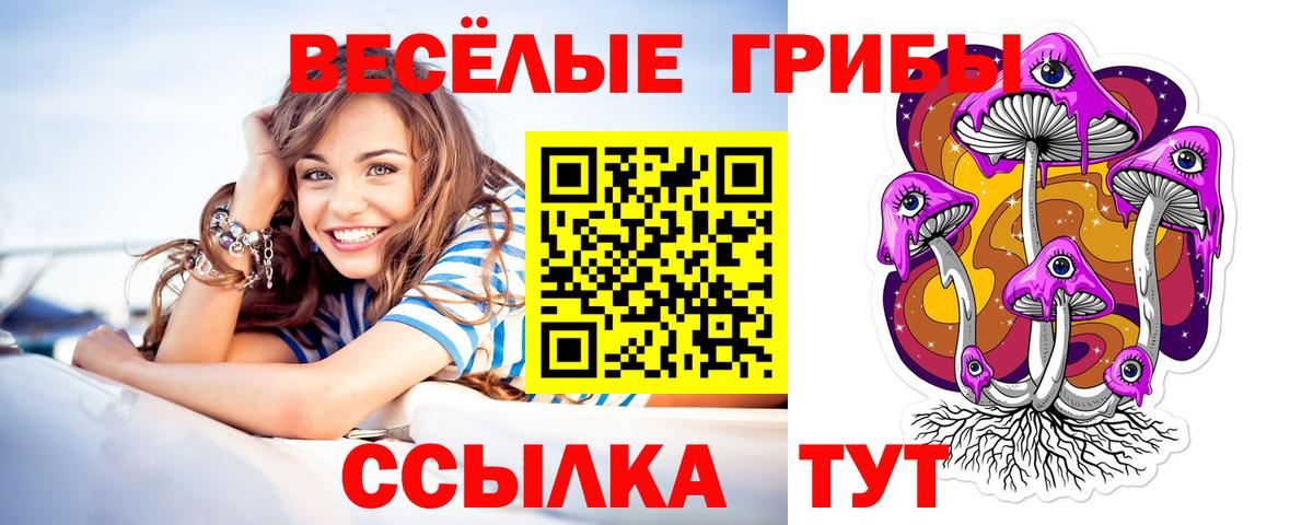Галлюциногенные грибы Cubensis  Псилоцибиновые грибы мицелий  Коряжма  дарнет шоп  Вход с VPN 